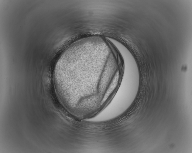 X0000090880691200708171646