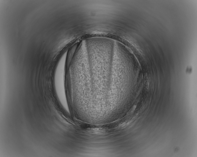 X0000090880692200708171646