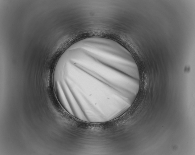 X0000090880694200708171646