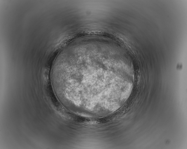 X0000090880695200708171646