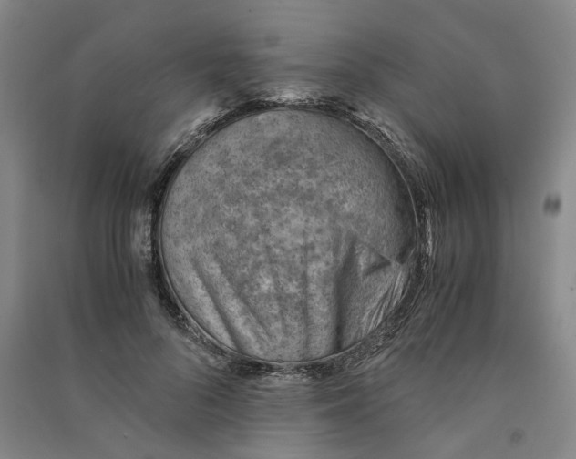 X0000090880696200708171646