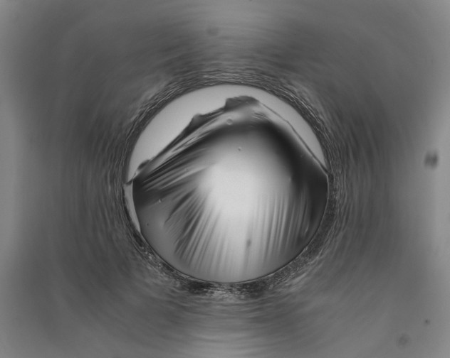 X0000090880697200708171646