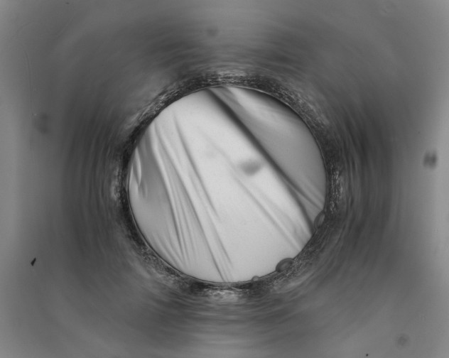 X0000090880698200708171646