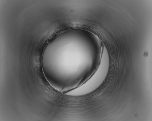 X0000090880700200708171646