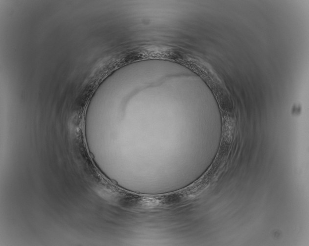 X0000090880701200708171646