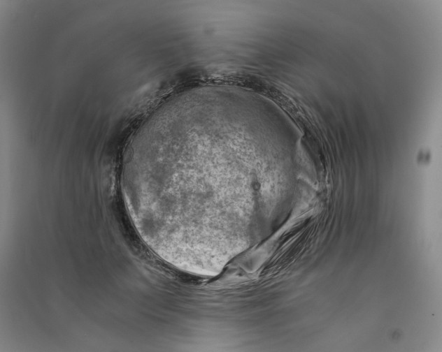 X0000090880703200708171646