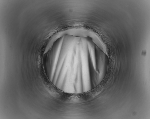 X0000090880704200708171646