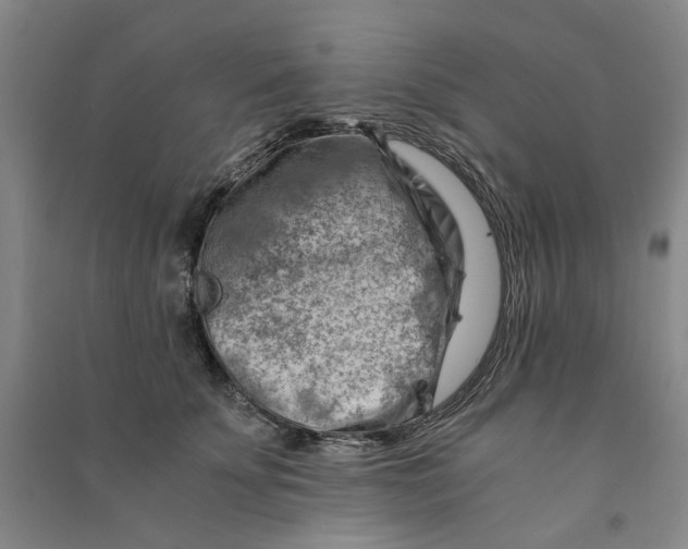 X0000090880707200708171646