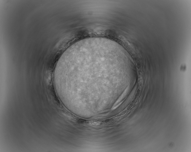 X0000090880709200708171646