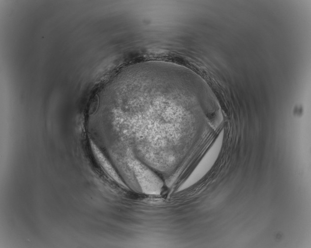 X0000090880711200708171646