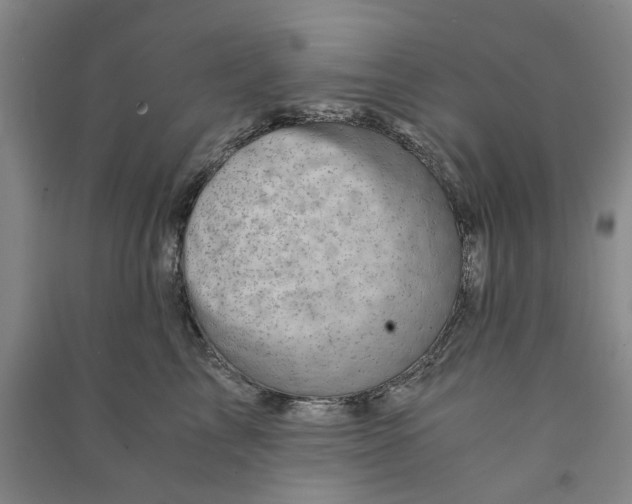 X0000090880713200708171645