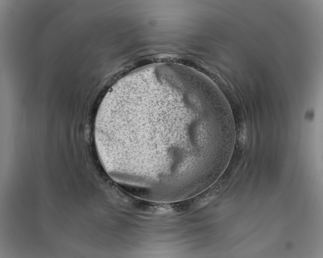 X0000090880715200708171645