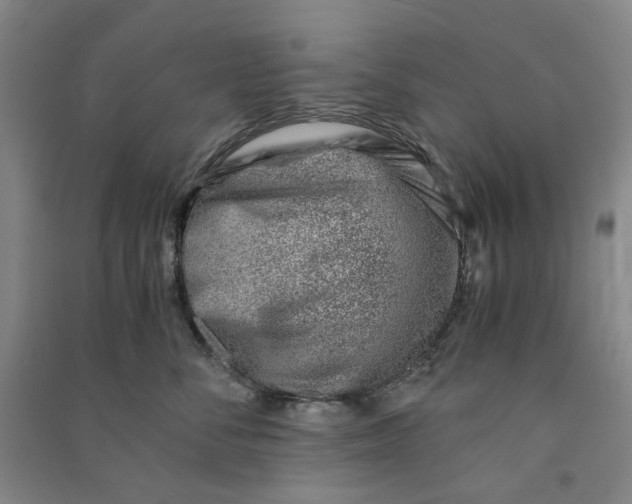 X0000090880716200708171645