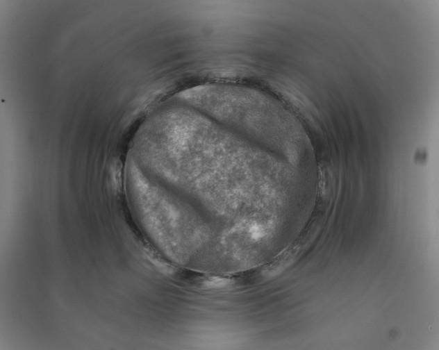 X0000090880718200708171645