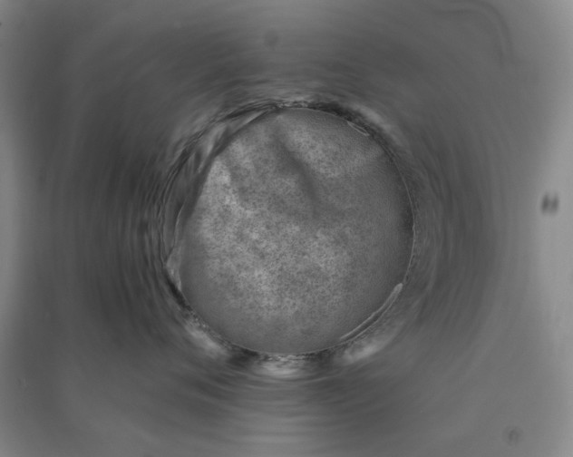 X0000090880720200708171645