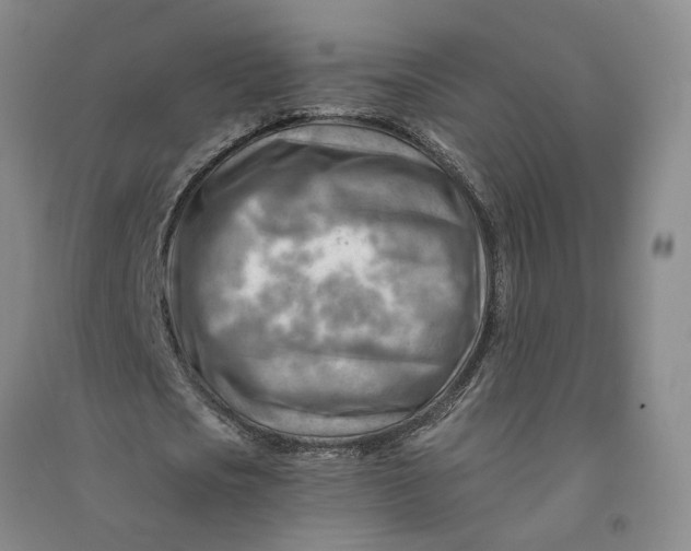 X0000090880721200708171645