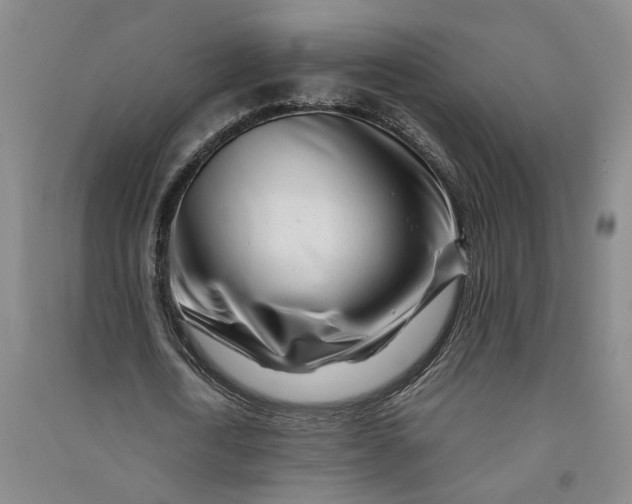 X0000090880722200708171645