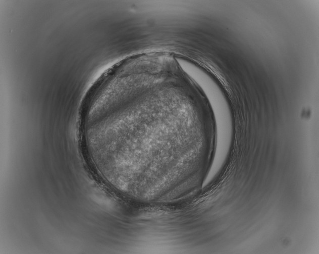 X0000090880724200708171645