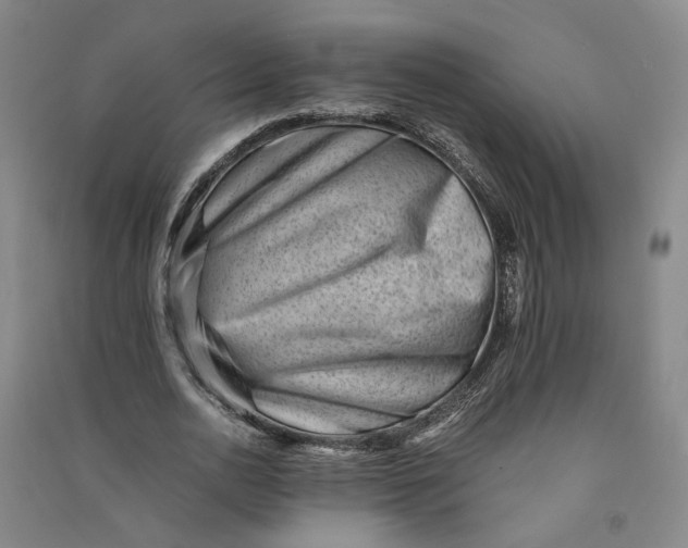 X0000090880726200708171645