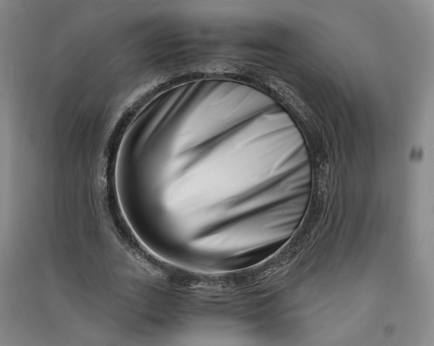 X0000090880727200708171645