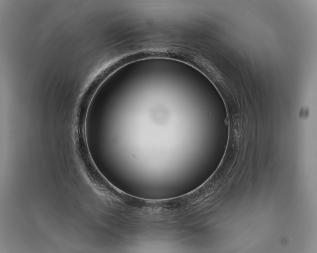 X0000090880728200708171645