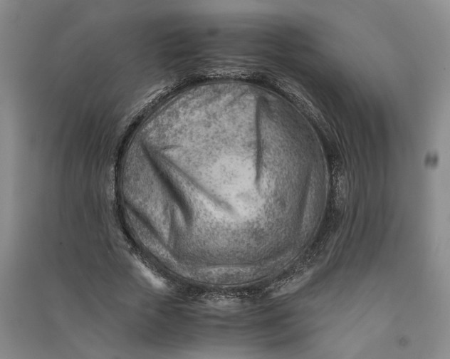 X0000090880729200708171645