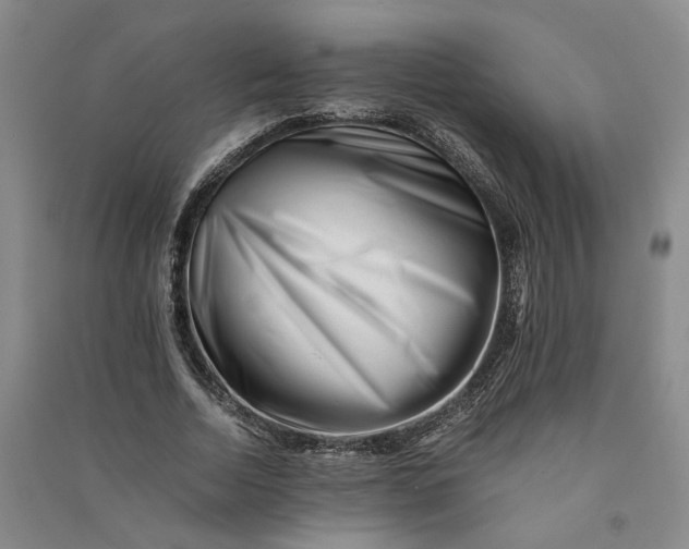 X0000090880730200708171645