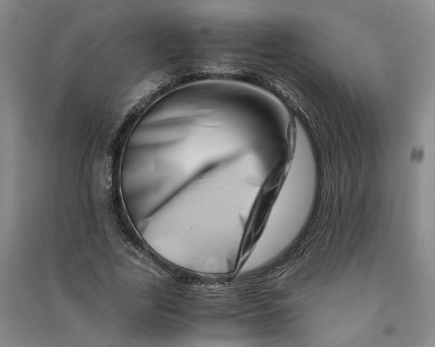 X0000090880731200708171645