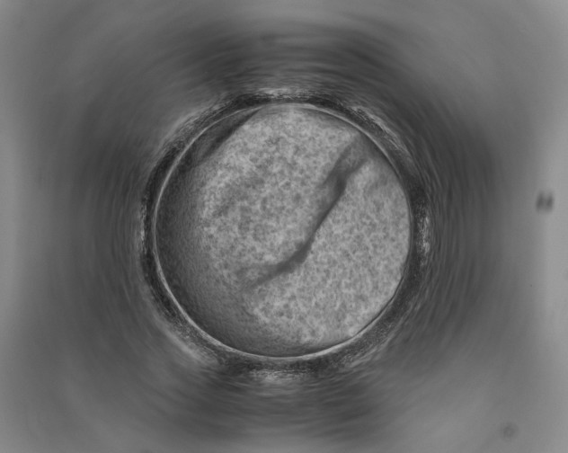 X0000090880733200708171645