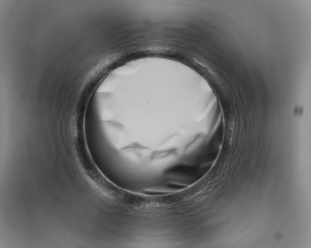 X0000090880734200708171645