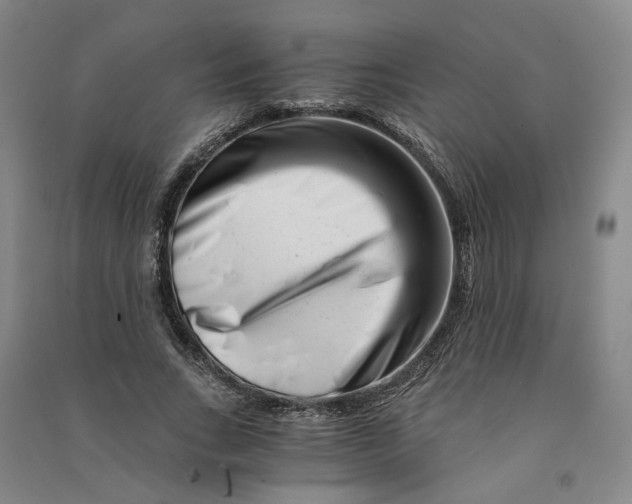 X0000090880735200708171645