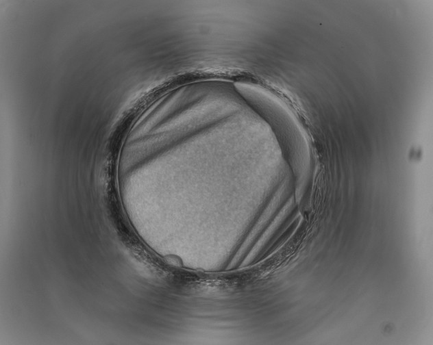 X0000090880736200708171645