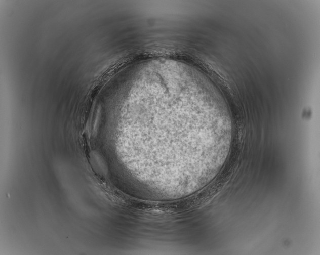 X0000090880737200708171645