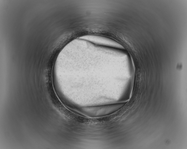 X0000090880738200708171645