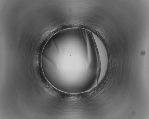 X0000090880740200708171645