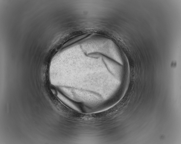 X0000090880742200708171645