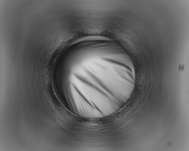 X0000090880743200708171645