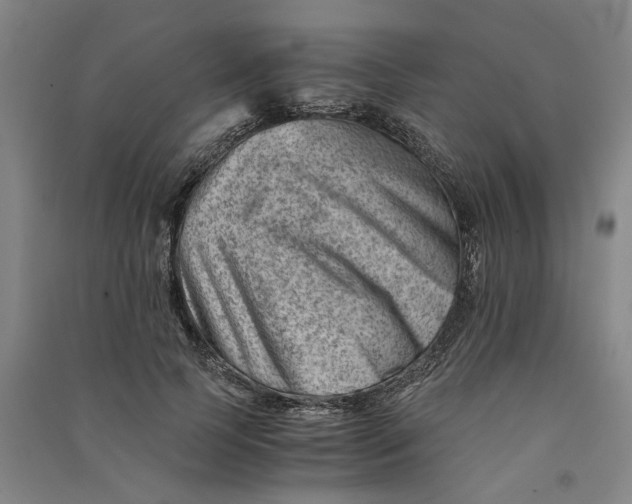 X0000090880745200708171645