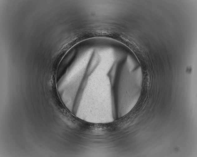 X0000090880746200708171645