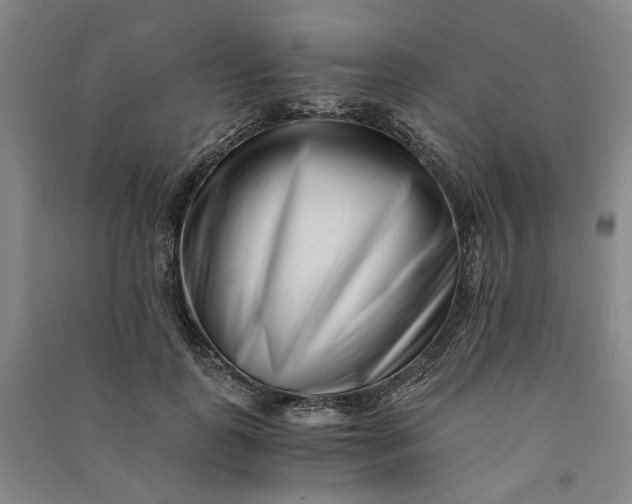 X0000090880747200708171645