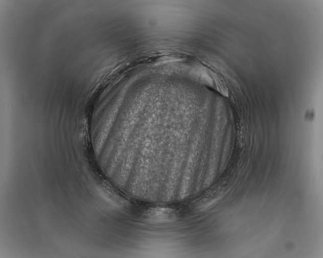 X0000090880748200708171645