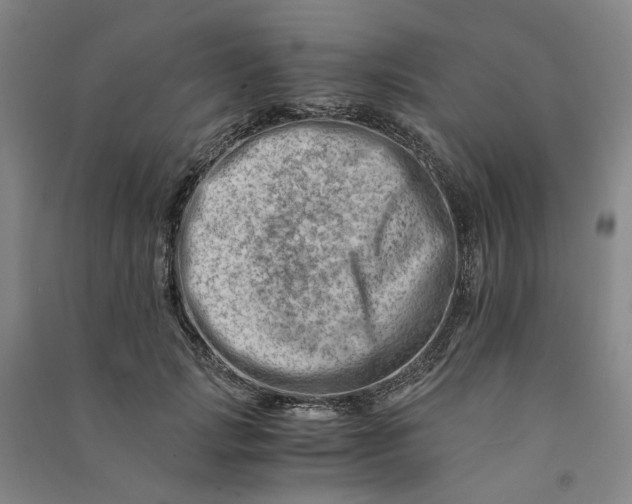 X0000090880749200708171645