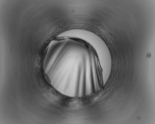 X0000090880750200708171645