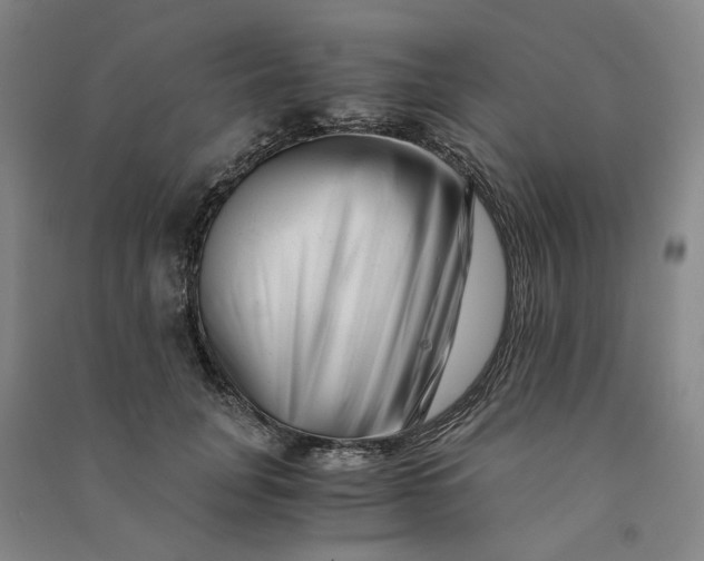 X0000090880751200708171645