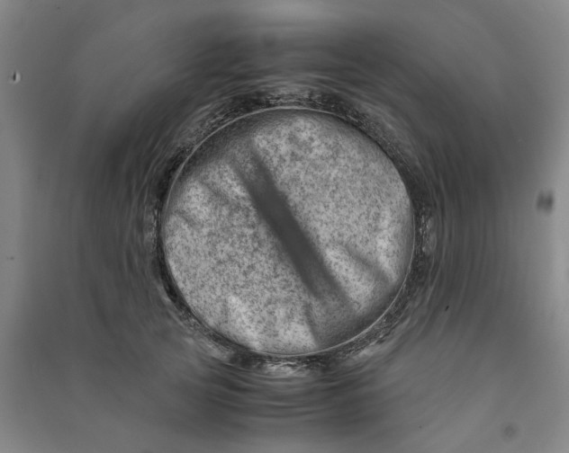 X0000090880753200708171645