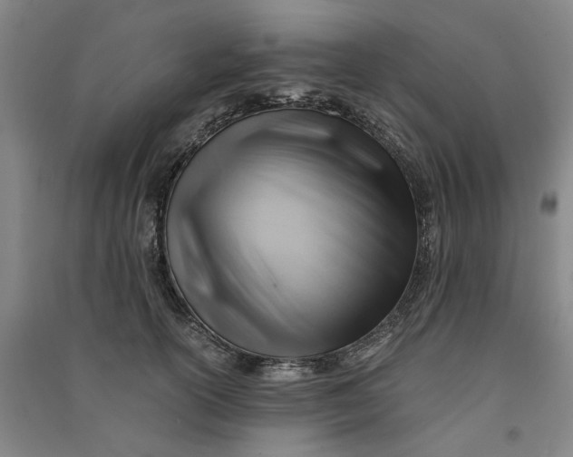 X0000090880754200708171645