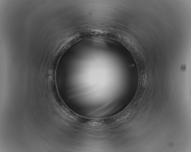 X0000090880756200708171645