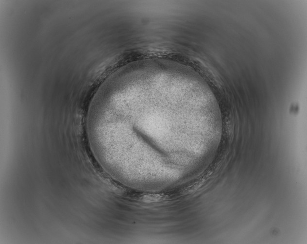 X0000090880757200708171645