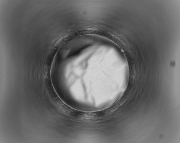 X0000090880758200708171645