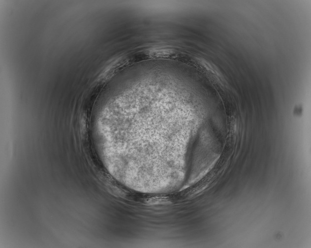 X0000090880761200708171645